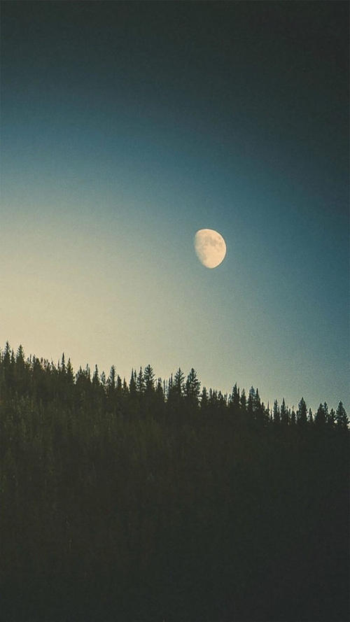 写一个简短而优美的感情句子