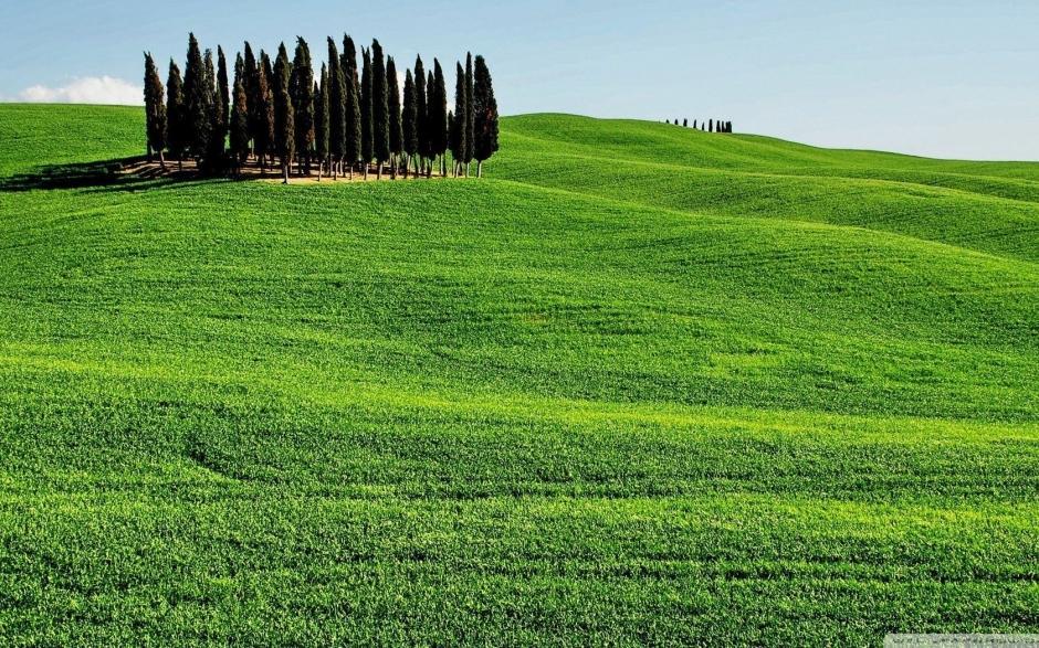 英语句子beautiful and short family family love