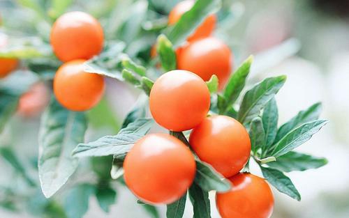 分手后让女孩的句子更快乐