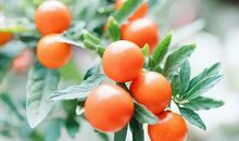 女生分手后更开心的句子 分手后高兴的说说心情