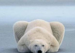 20.任何生活都是要接受的是，即使您下定决心，我们生活中也存在着您无法企及的地方。人们只能生活一次，不要生活太累。没有梦想，现实将是黑暗的。没有现实，梦想就是梦想和幻想。只有将梦想与真实的气氛联系起来，梦想才能实现。