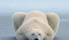 摔跤了，不要哭，再爬起来