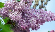 触进心灵的句子亲情