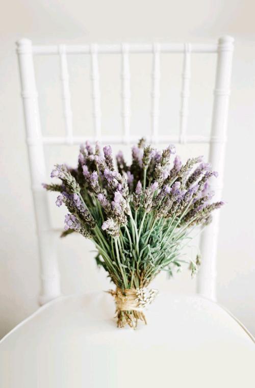 有关亲情和谐的句子