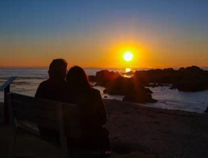 32.没有障碍可以阻止我们,因为我们有爱的翅膀。苦味不能打败我们,因为我们有爱的糖浆。没有痛苦可以压垮我们,因为我们拥有爱的骨头。亲爱的,永远爱你。