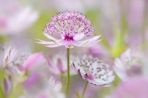 女孩要更加阳光的座右铭1