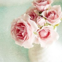 家庭之爱和令人心动的简短句子谈论情绪