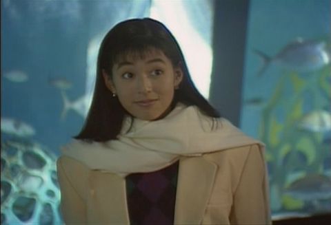 东京爱情故事经典行情