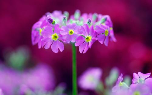 对亲情测底失望心凉的句子 1