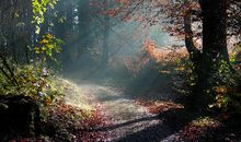 亲情心灵感悟的句子