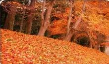 关于人生最难的感悟句子