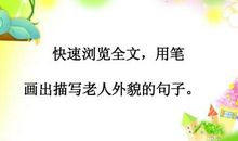 描写妈妈外貌的好段