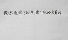 选择关系的句子