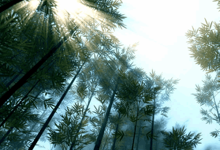 11.我在街上闻到了你的气味。我惊呆了几秒钟。我的鼻子有点酸。我回头，尽力找到你。我永远不会再错过它。你在哪？风在吹。你还在回来吗？