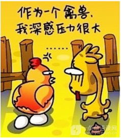 特色搞笑微报价