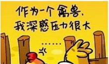 搞笑微语录精选