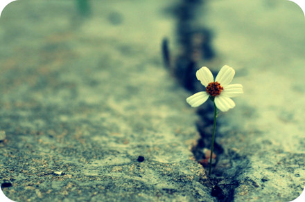 形容人的诗句 1