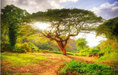 15.世界上只有一种英雄主义，那就是了解和热爱生活的人。 -罗曼·罗兰