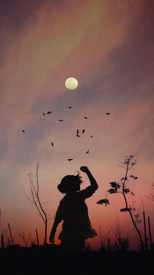 形容人的诗句 2