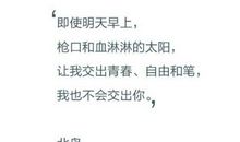 你是我的独家记忆经典语录