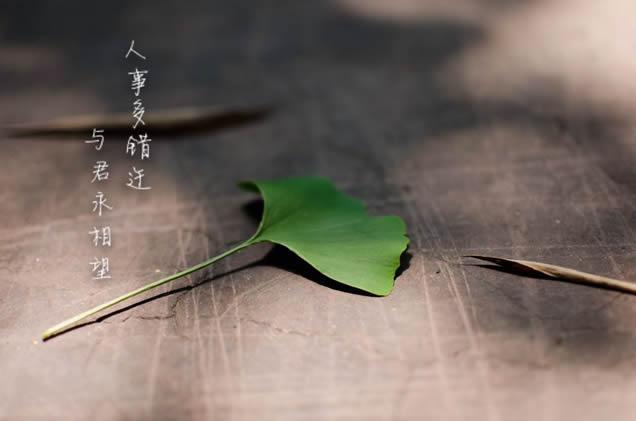 自己伤心痛苦的句子说说心情短语 2