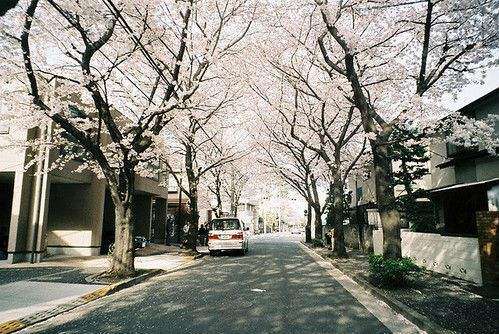 牛根生关于人生感悟的句子 7