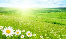 关于心态的正能量句子