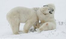 关乎于亲情的句子