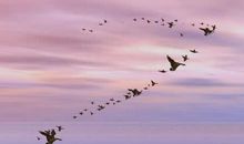 有关志向的座右铭