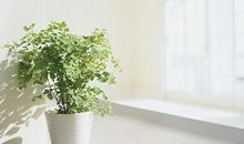 关于生活的正能量句子