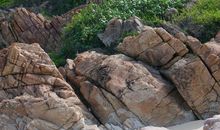 石头貌不起眼，却能恒久千年万载