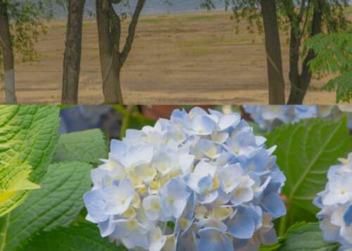 余生只爱一个人的说说 一生只爱一个人的句子 1