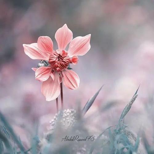 让人们突然意识到的话