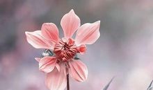 让人瞬间顿悟的话