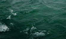 体现向上精神的座右铭