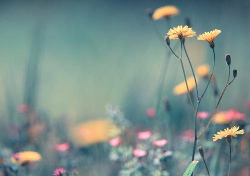 亲情舍不得分开的句子 1