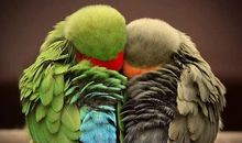 关于亲情顿悟的句子