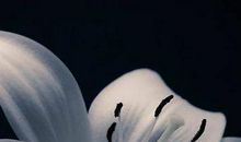 亲情主题的哲理或深情句子