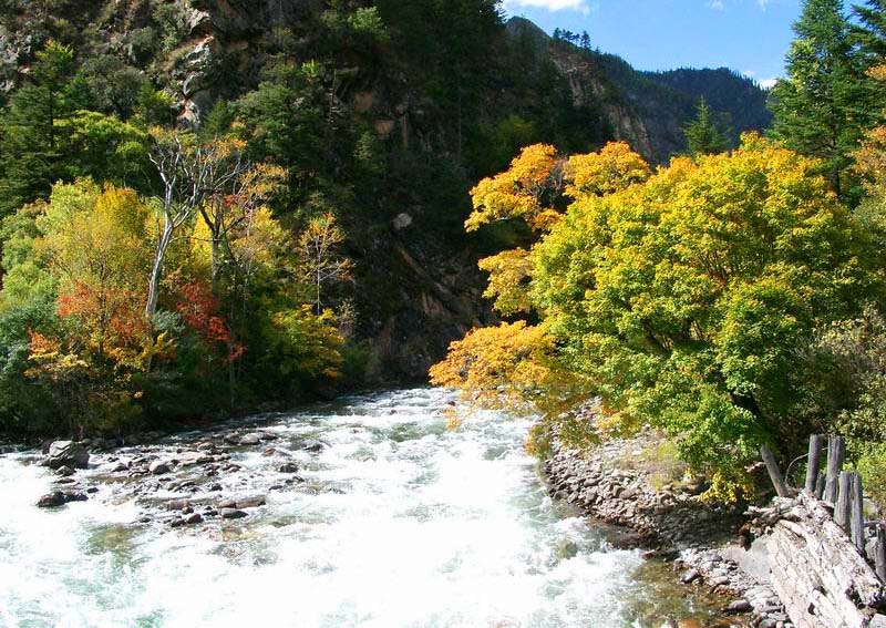 11.清明节，一个小小的长假，我希望您携带一个安全的行李，跟随快乐的航行，穿上健康的衣服，朝着幸福的前面走，让您的心充满喜悦，将希望握在手中，并带领多彩的生活，幸福的前进！