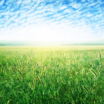 11.那些亲密的人，我们记得，那些真诚的人，我们被感动，那些快乐的人，我们的同情者，那些寻求梦想的人，我们与我们在一起，世界问候日即将到来，我们愿意一起走一起笑的朋友很高兴。