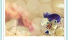 2020签名最新版女阳光