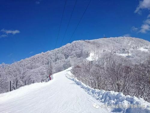 赞美雪景的句子