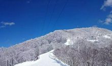 赞美雪景的句子