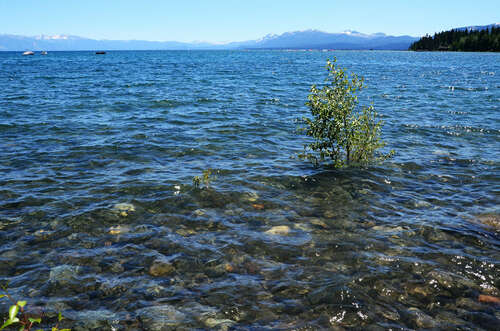 10.当我醒来时，我非常想念您，我只是发送一条短消息，几天之内不能见您，祝您每天心情愉快。