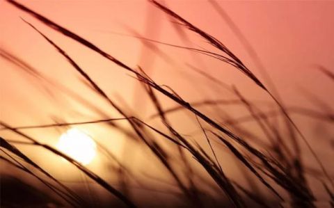 10.他用沉默让你体验离别。您以回忆蒙蔽了您，故事继续进行。