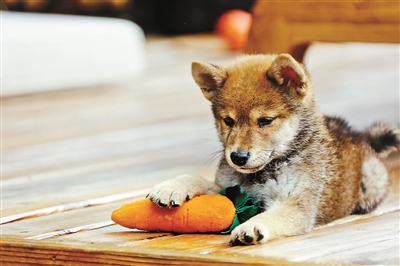 15.压抑情绪是不好的。当然，发脾气也有后遗症。如果您想减轻脾气，则应该了解脾气的来源。