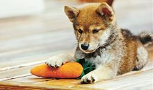 幸福人生的座右铭