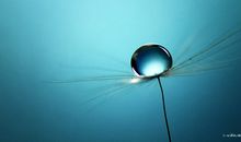 人生感悟句子经典20条