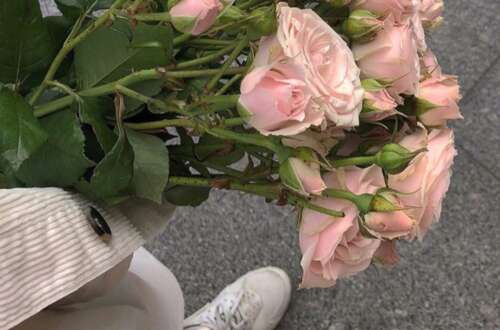 不吵不闹心凉了的说说 心累的伤感句子