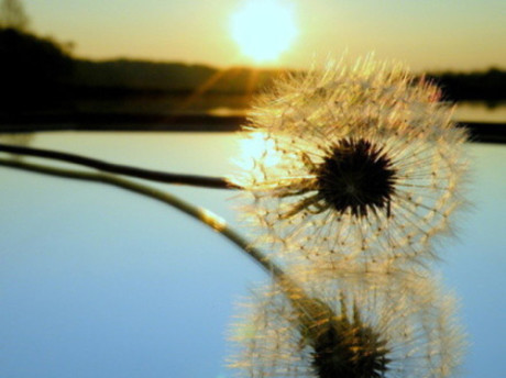 20.人生最大的收获就是付出。最有意义的是，人类的幸福是他自己的幸福，人类的不幸是他自己的不幸。最大的追求就是没有欲望和欲望。最痛苦的事情是知道自己正在受苦。 ，别人说你很高兴。